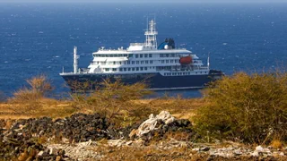Tote auf Kreuzfahrtschiff – Was Sie jetzt über das Hantavirus wissen müssen