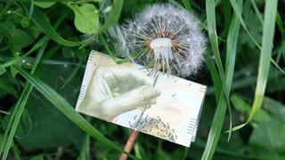 Nachhaltige Investitionen – Schweizer Banken könnten mehr tun für Klimaschutz