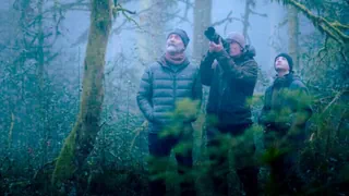 Neu im Kino – «Le chant des forêts»: Drei Männer und die Poesie des Waldes