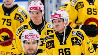 Viele Mutationen in Bern – SCB plant ohne Untersander, Vermin und Ehlers