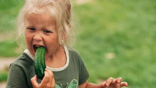 «3 vo 5» – das Kultquiz – Ist die Gurke eine Beere? Testen S
