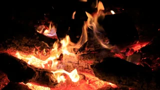 Feuer in der Altsteinzeit – Neue Funde zeigen: Menschen entfachten Feuer früher als gedacht