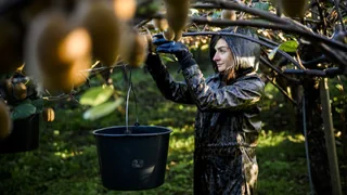 Initiative «10-Mio-Schweiz» – Bei den kantonalen Bauernverbänden zeigt sich ein Röstigraben