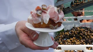 Muschelplage im Zürichsee – Invasive Muscheln? Spitzenkoch Markus Stöckle hat angebissen
