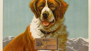 Neues Sachbuch – Wie die Schweiz zu ihrem Image als «Schoggiland» kam