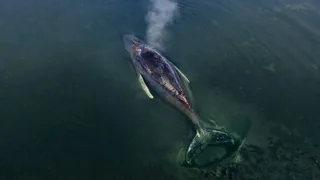 Podcast-Empfehlungen – Wann wir mitfühlen – und wann nicht: 5 Podcast-Tipps