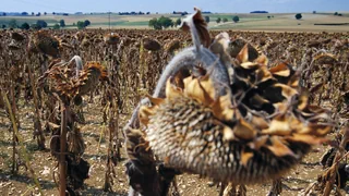 Klimawandel – Kein «Safe Space»: 2 Grad Erderwärmung kann extreme Folgen haben