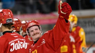 National League: Starker Start – Die SCL Tigers trotzen allen Widrigkeiten