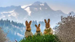 Osterwetter – Der Osterhase versteckt die Sonne nicht