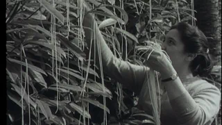 Tops und Flops am 1. April – Von skurril bis witzig: Diese Aprilscherze gaben zu reden