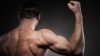 Fitness und Muskelaufbau – Fitnesstraining im Vergleich: Was lässt Muskeln wachsen?