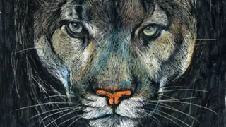 Solothurner Literaturtage 2026 – «Schlich ein Puma in den Tag» gewinnt Kinder- und Jugendbuchpreis