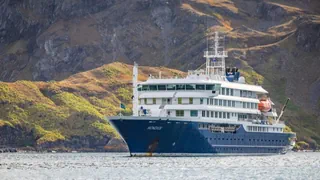 Schwere Atemwegserkrankung – Hantavirus auf Kreuzfahrtschiff ausgebrochen – drei Tote