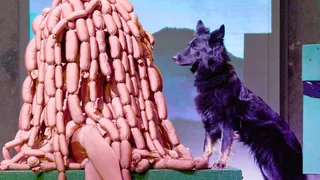 Schauspiel «Wau Wow» – Hunde auf der Bühne? Ein Schauspiel zum Anbeissen!