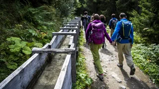 Traditionelle Bewässerung – Kampf gegen Klimaerwärmung: Wie Suonen Abhilfe schaffen könnten