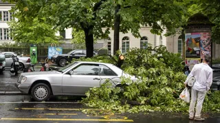 Unwetter in Zürich – Von herabfallendem Ast getroffen: 16-Jährige stirbt im Spital