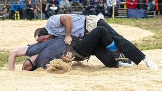 Schwingfeste am Sonntag – Aeschbacher triumphiert am Mittelländischen