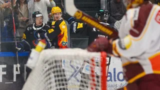 Erste Saison bei Gottéron – Attilio Biasca: Die Luftveränderung hat ihm gutgetan