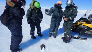 Entdeckung in der Antarktis – Schweizer Forscherin findet aussergewöhnlichen Meteoriten
