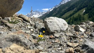Jahrestag in Blatten – Eine Gedenkfeier auf dem Schuttkegel