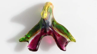 Fast 30 Jahre nach dem Penis – Das Nervennetz der Klitoris: erstmals vollständig und in 3D