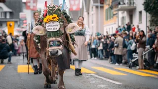 Zum 20. Mal – Entlebucher Alpabfahrt: Wo Bauern wie Rockstars empfangen werden