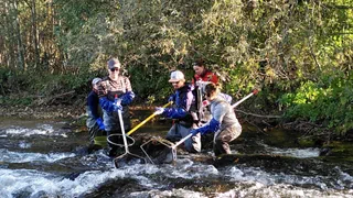 Neue Fische, neue Namen – Namenssuche unter Wasser: Schweizer dürfen neue Fischarten taufen