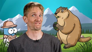 Heimische Wildtiere – Wie Murmeltiere in der Schweiz leben