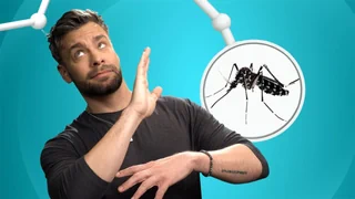 Problematische Neozoen – Von Tigermücken und anderen invasiven Arten in der Schweiz
