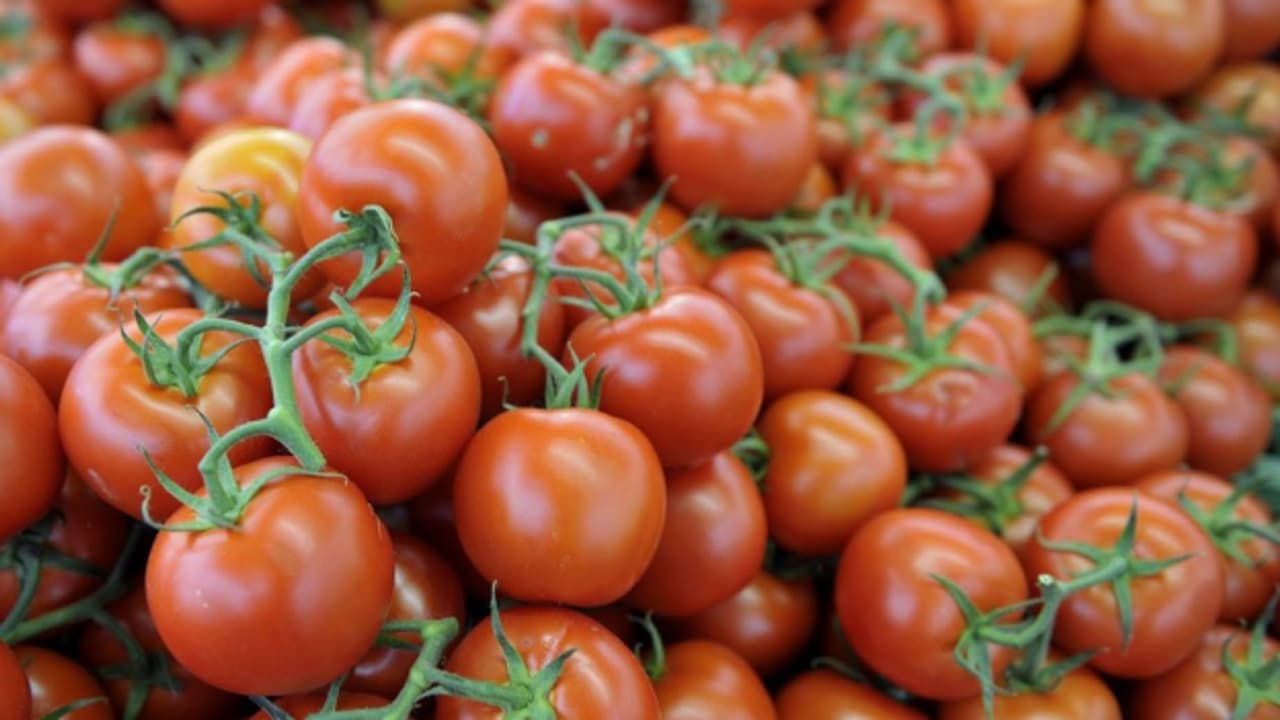 Wann sind Tomaten Schweizer Tomaten? Regional Diagonal SRF