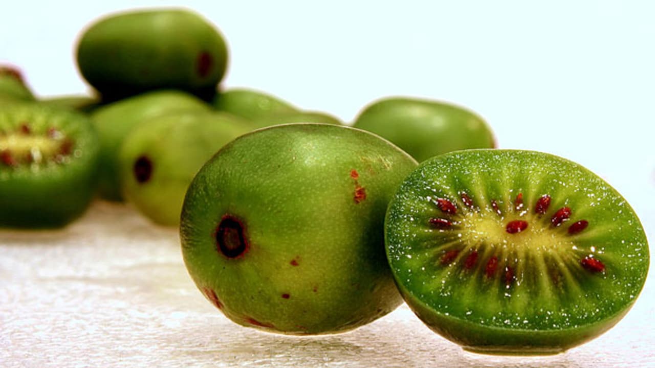 Minikiwi mit maximalem Vitamin C - A point - SRF