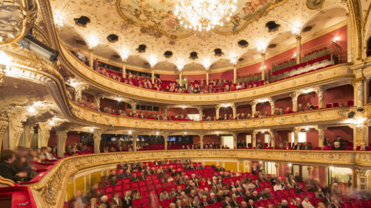 Der Opernfreund - 100 Sekunden Wissen - SRF