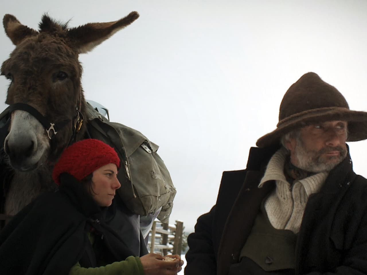 Film & Serien Der Schweizer Filmpreis auf der Suche nach sich selbst