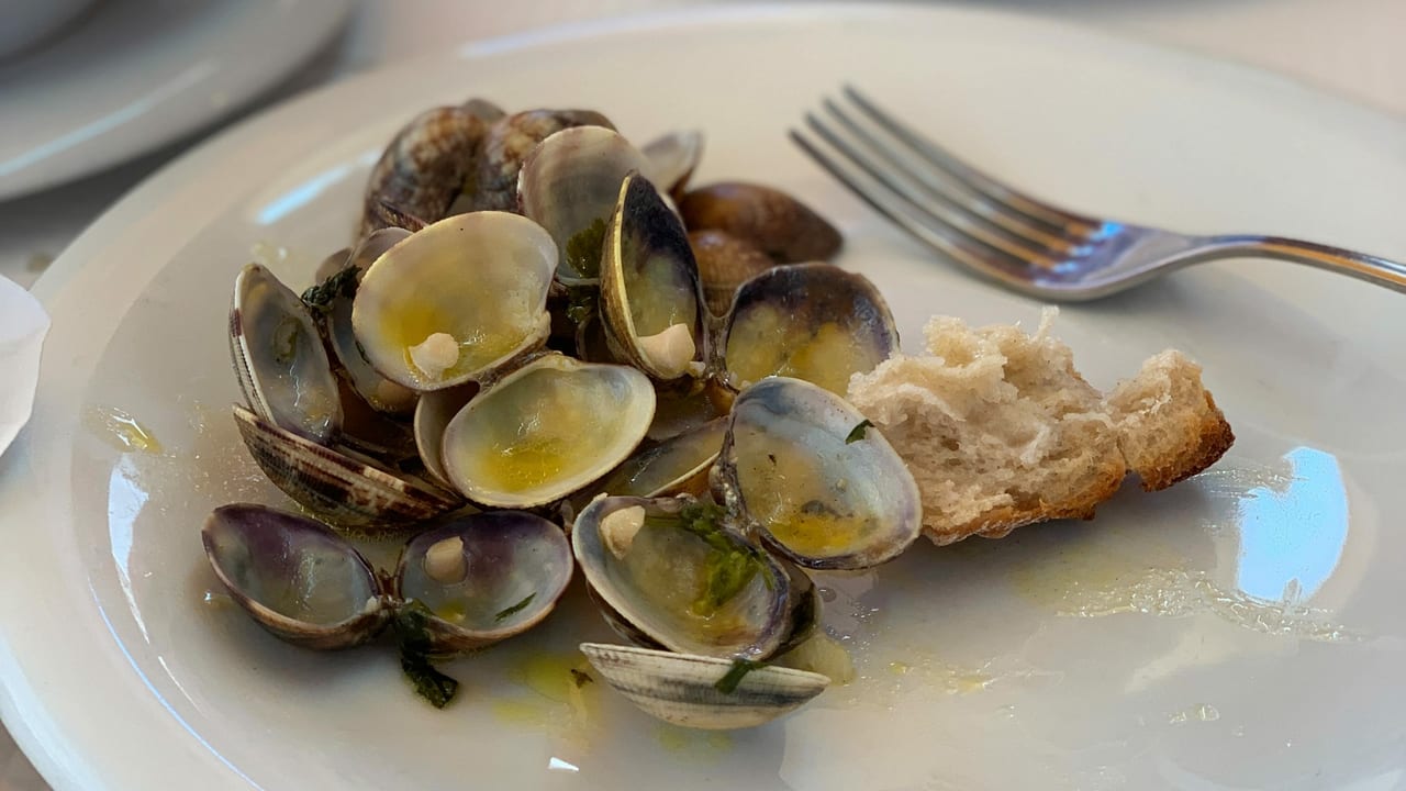 Muscheln essen - Was Sie über Miesmuschel & Co. wissen müssen - Radio