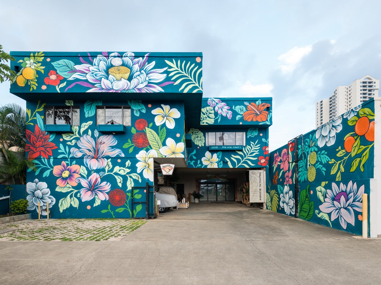 граффити цветы на стене. художественная роспись фасадов. стрит арт растения. граффити мурал. роспись уличных стен.