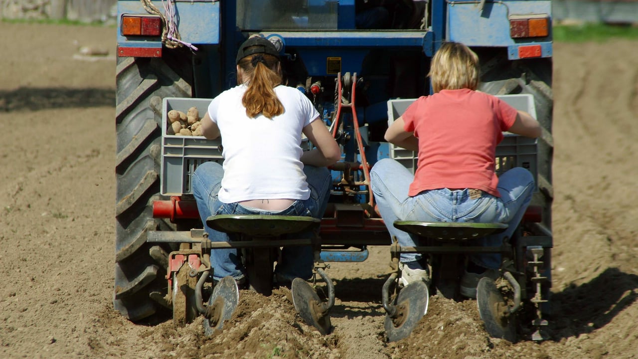 Mehr Frauen leiten Bauernhöfe - «Die Bäuerin ist sehr wichtig für das