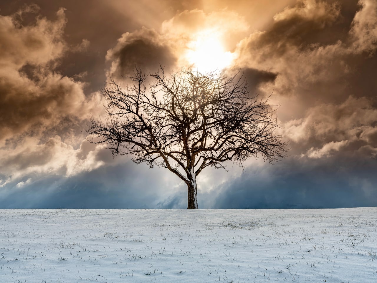 Bild des Monats Wählen Sie jetzt das schönste Bild des Monats Februar