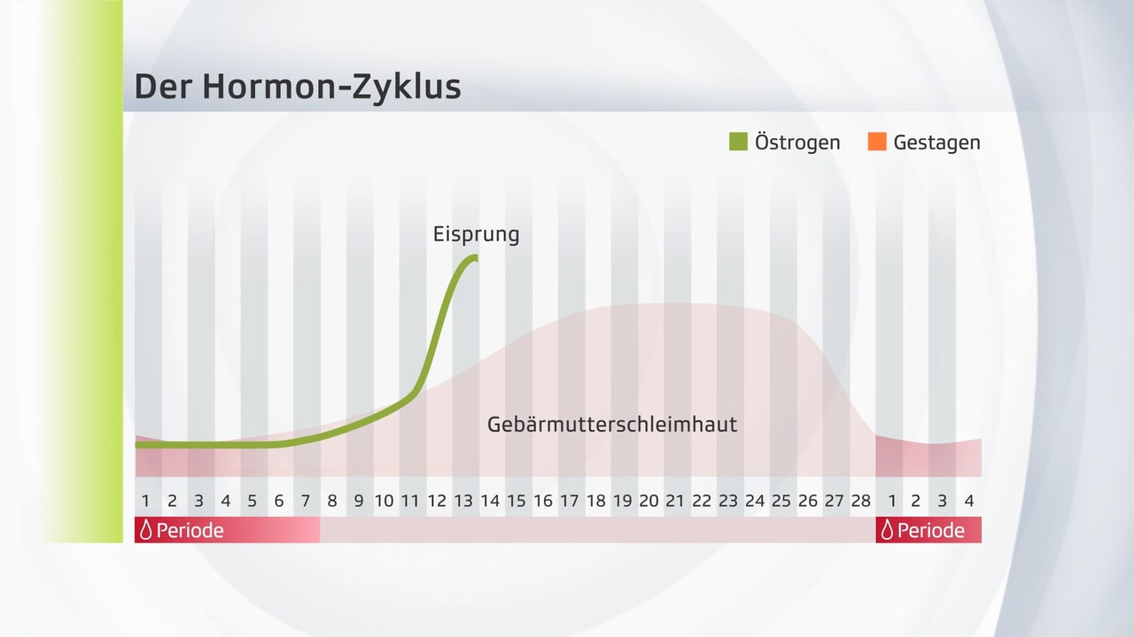 Langzeitzyklus mit der Pille Das Ende der Tage Wissen SRF