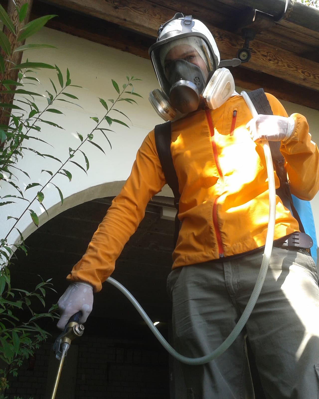 Graubünden Mit Gift gegen TausendfüsslerPlage News SRF