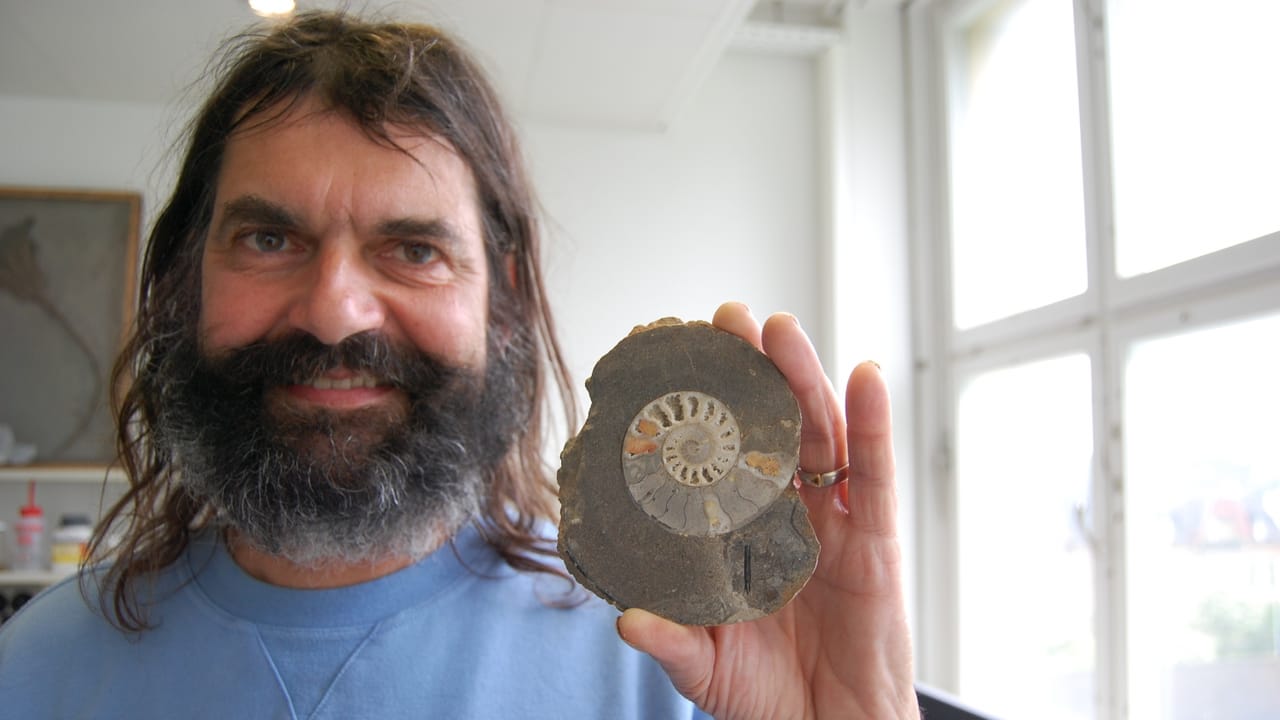 Bern Freiburg Wallis - Berner Fossilienforscher ergründen das Gestein