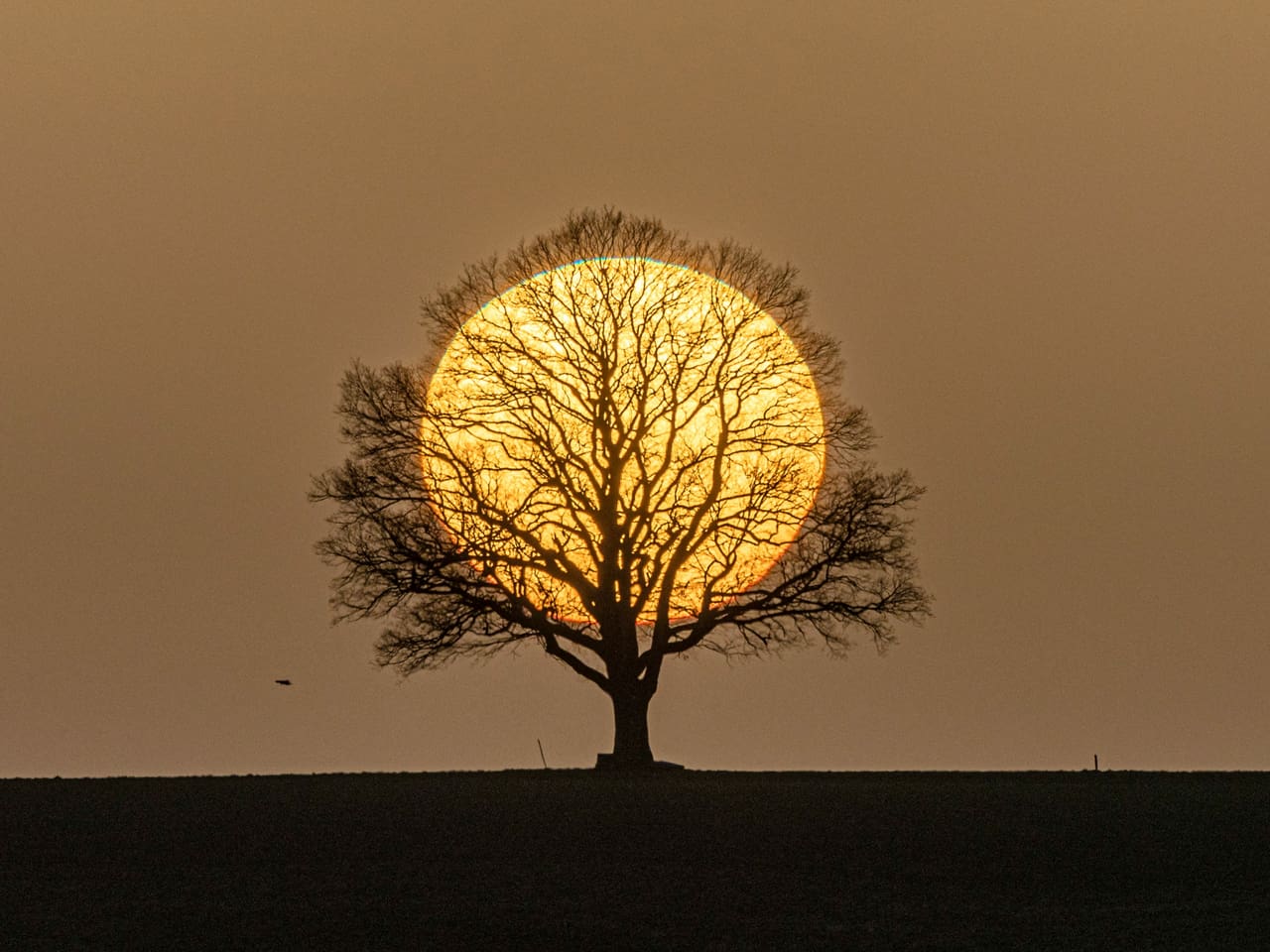 Bild des Monats Das schönste Bild des Monats Februar Meteo SRF