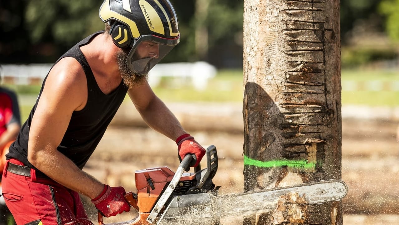 Flössen auf dem Ägerisee - Wenn 1000 Tonnen Holz über den See gleiten