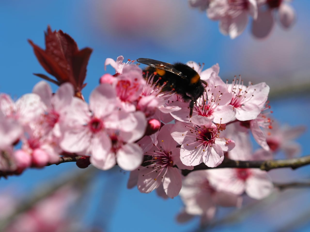 Bild des Monats - Wählen Sie jetzt das schönste Bild des Monats März