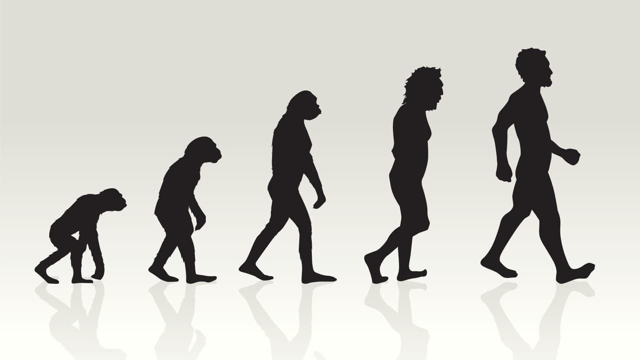 Risiko Evolutionstheorie und Astrologie Home SRF