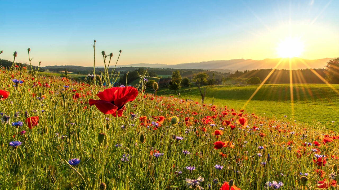 Bild des Monats Das schönste Wetterbild des Monats Juni Meteo SRF
