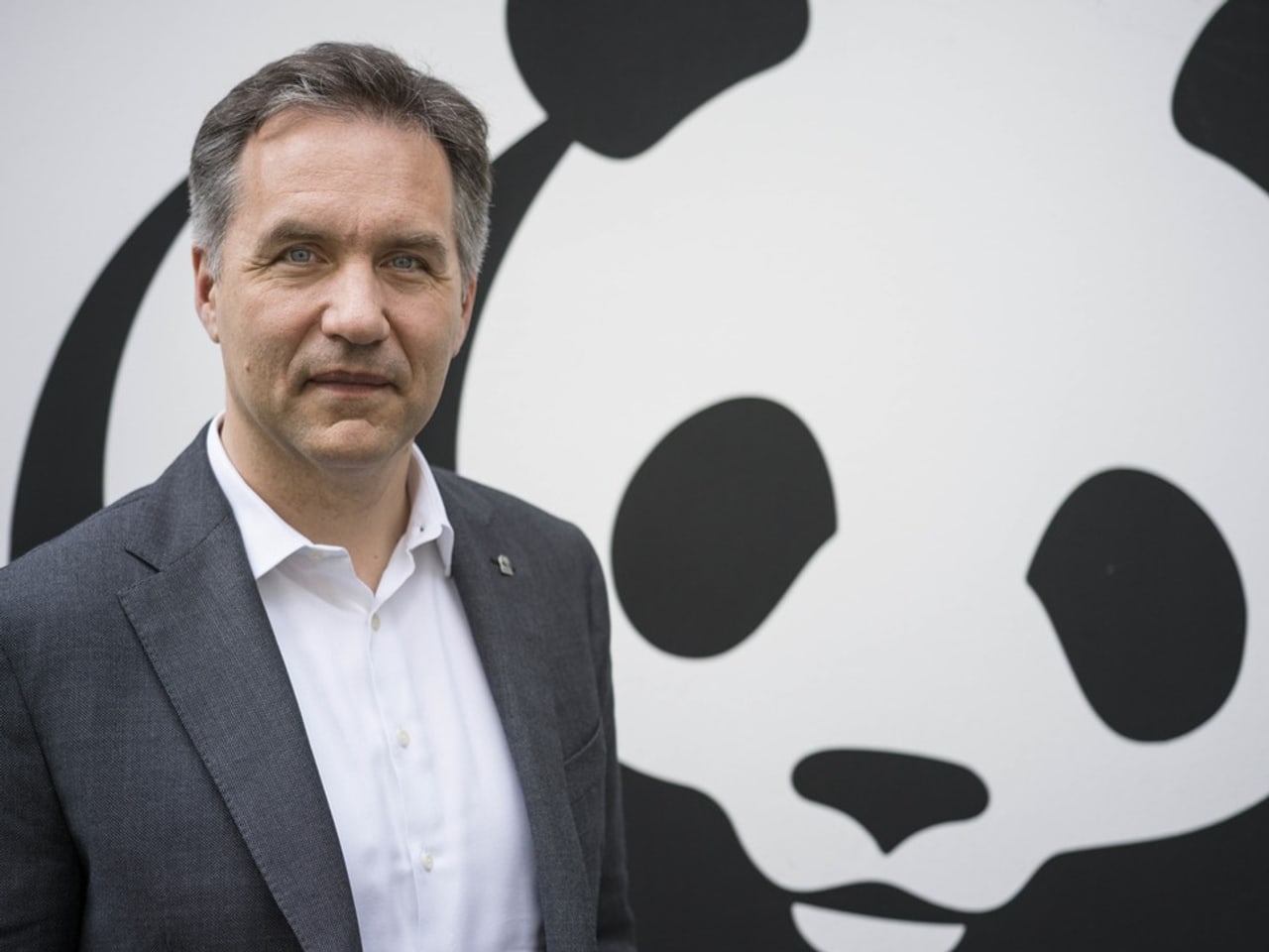 WWF-Studie - Weltweit rund drei Viertel weniger Wildtiere als vor 50 ...