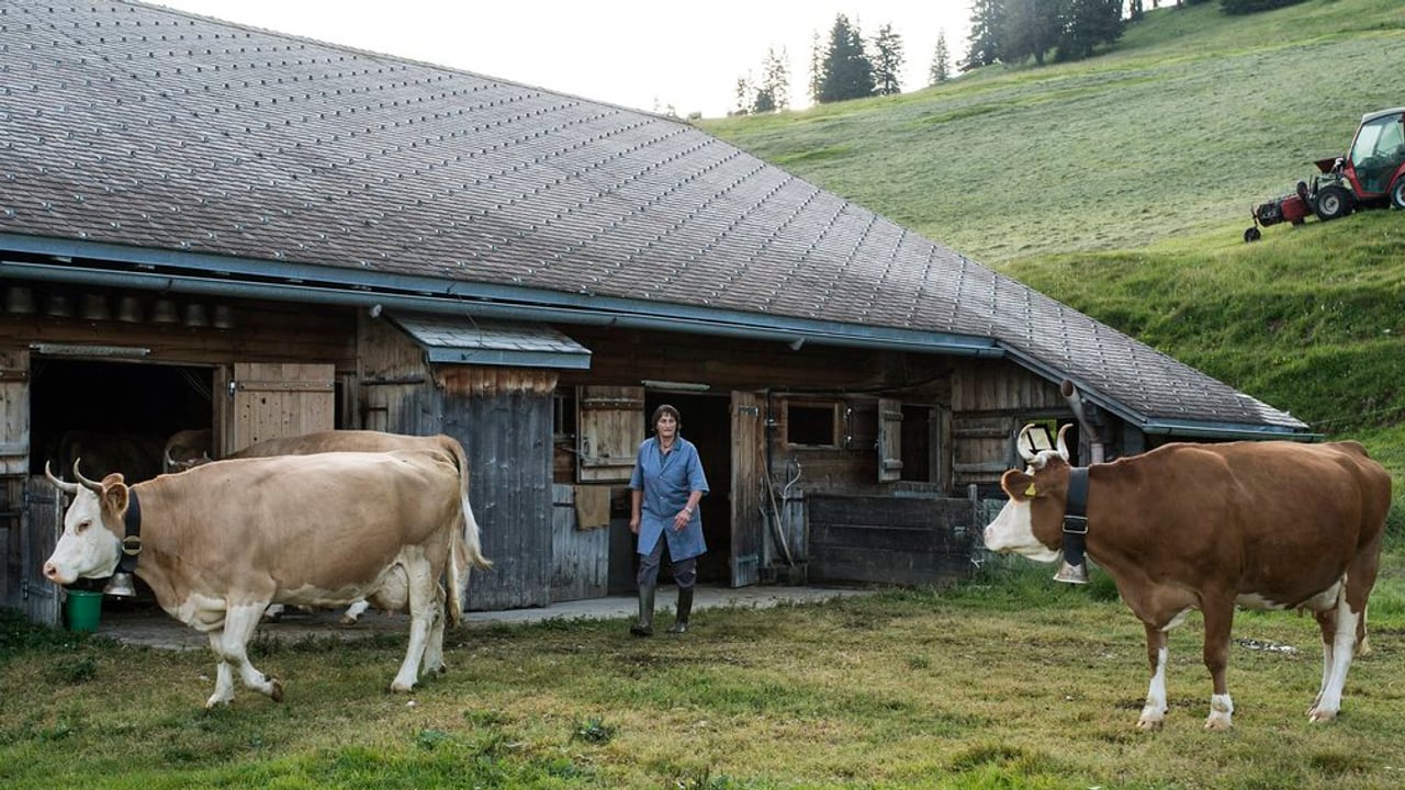 Zentralschweiz - Uri soll wieder eine Bäuerinnen-Schule erhalten - News