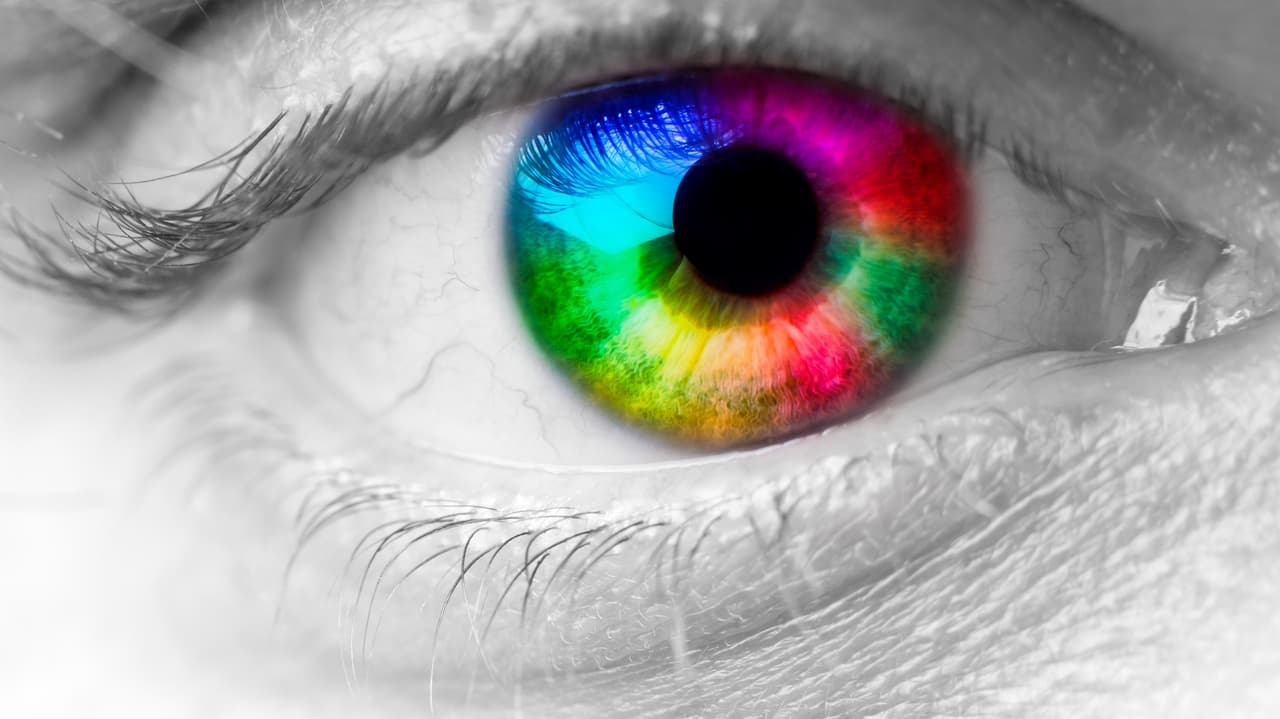 Fünfmalklug Wie viele Farben sieht der Mensch? Einstein SRF