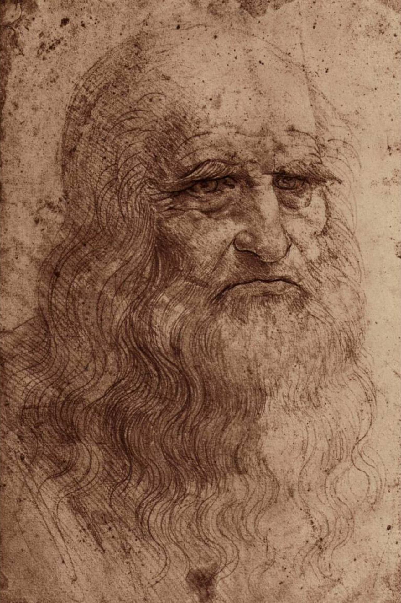 Гении возрождения. Леонардо да Винчи автопортрет 1512. Леонардоида Винчи автопортрет. Леонардо да Винчи портрет. Леонардо да Винчи Автопорт.