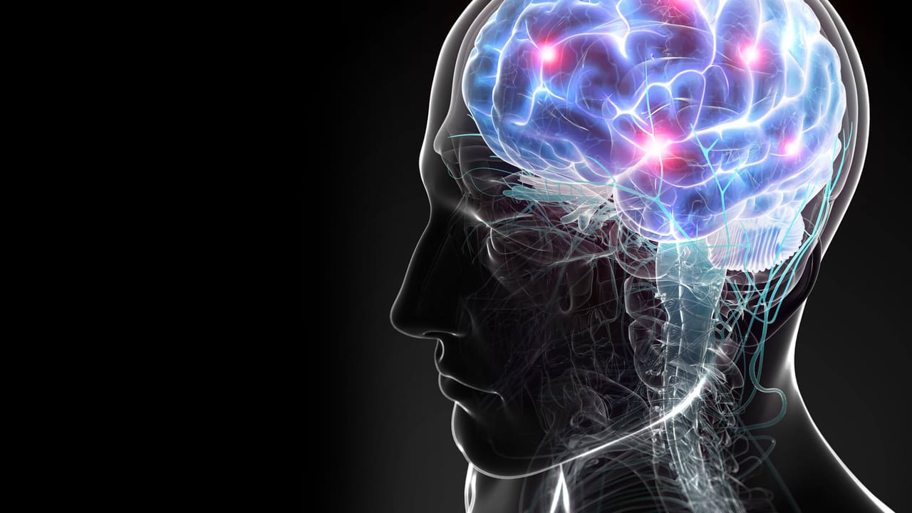 Герц для мозга. Как заставить мозг запоминать. Герц для мозга. Доппельгерц актив лецитин форте 1200 капс. Герц для мозга.